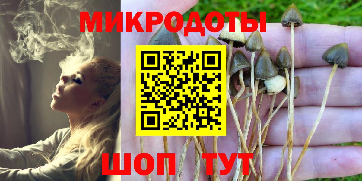 Галлюциногенные грибы Magic Shrooms Приморско-Ахтарск