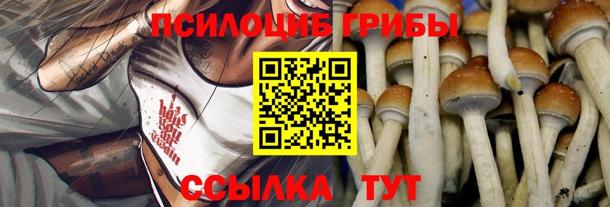 Псилоцибиновые грибы Magic Shrooms  Псилоцибиновые грибы GOLDEN TEACHER  Приморско-Ахтарск  Вход с VPN 